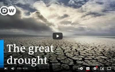 Our drinking water – Is the world drying up? | DW Documentary