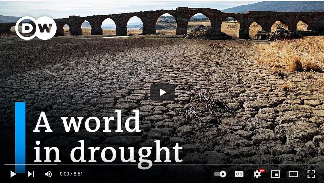 Disruption in water cycle threatens the Earth | DW News