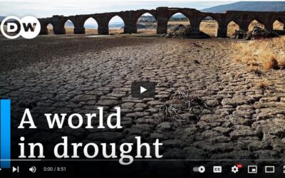 Disruption in water cycle threatens the Earth | DW News